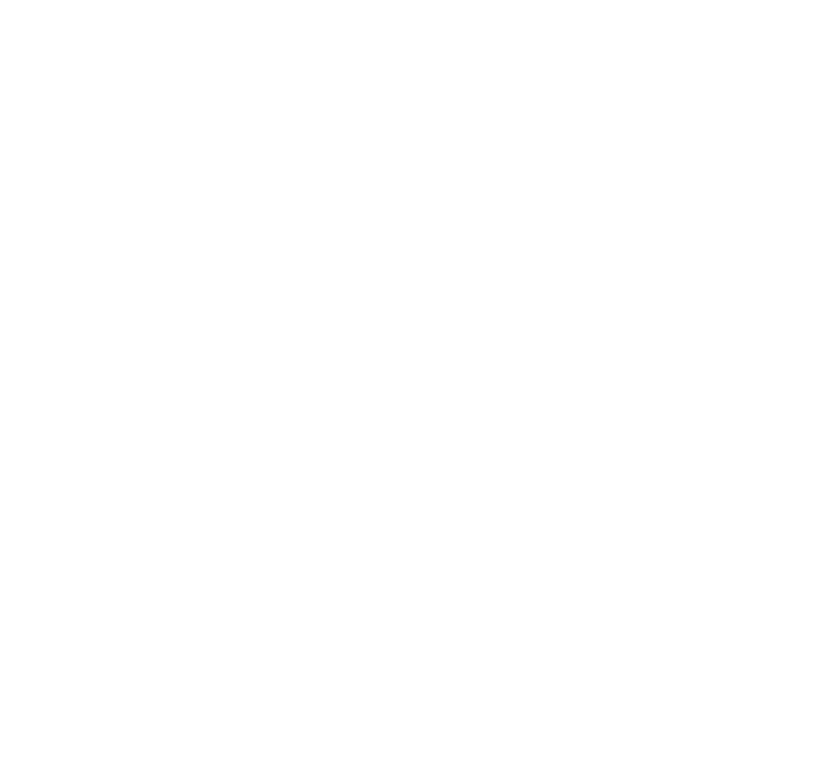 Portage Health Foundation Logo