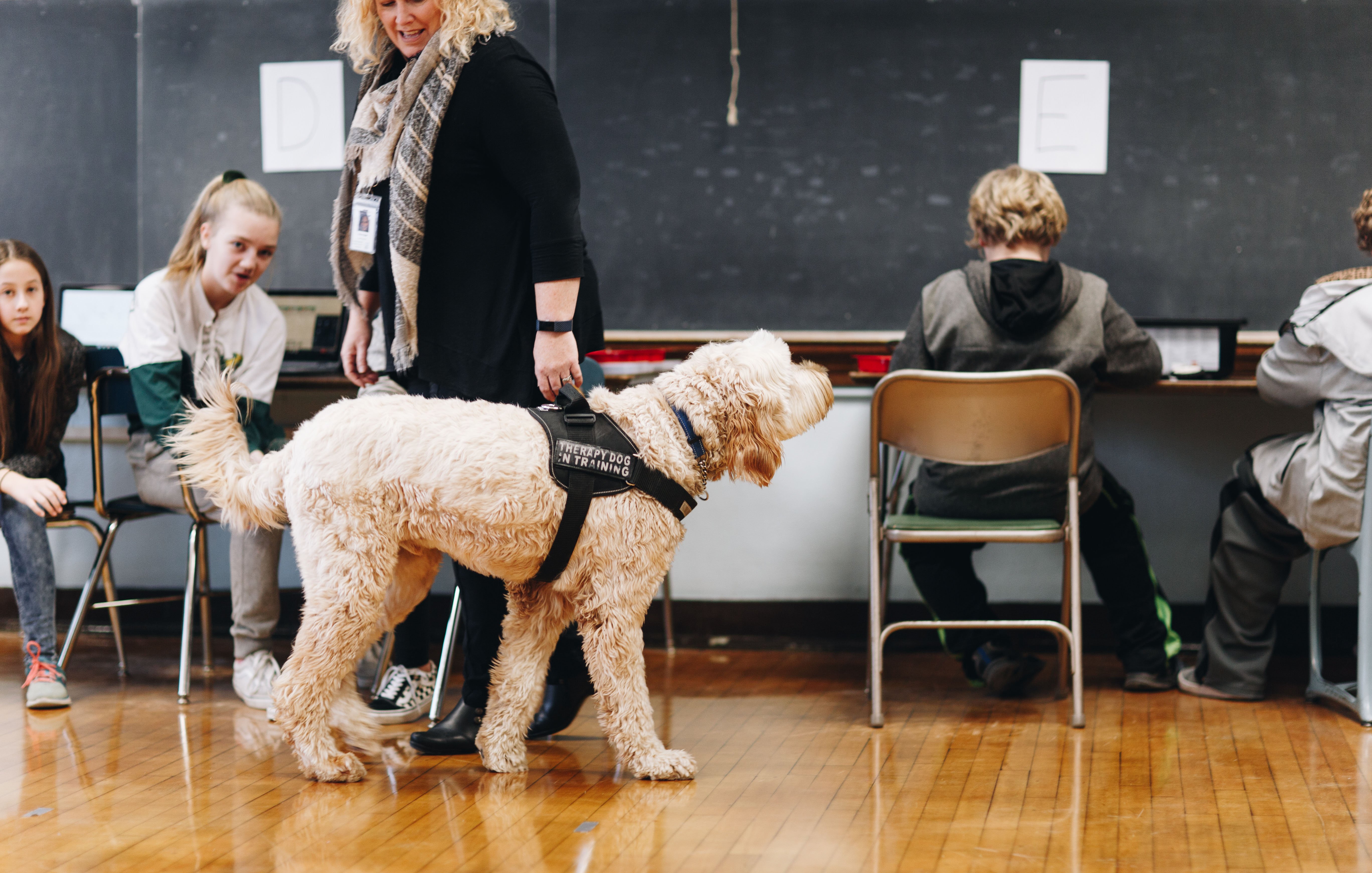 Therapy Dog at Calumet Schools